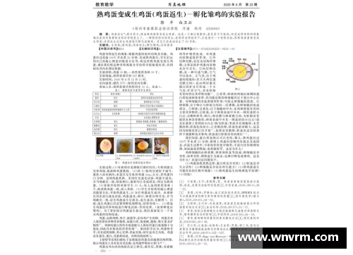 betway必威官方网站教练组合作研究对手，破解对方战术